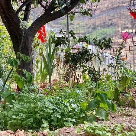 Juncalillo House * Gáldar