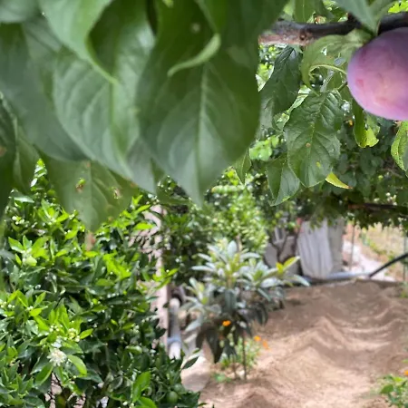 胡卡利罗乡村民宿 乡村民宿 Gáldar