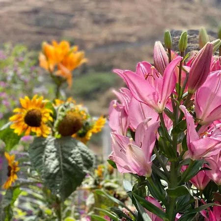 胡卡利罗乡村民宿 Gáldar