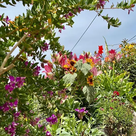 胡卡利罗乡村民宿 乡村民宿 *