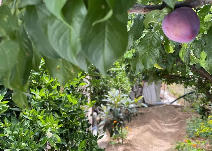 Juncalillo House Landsted Gáldar