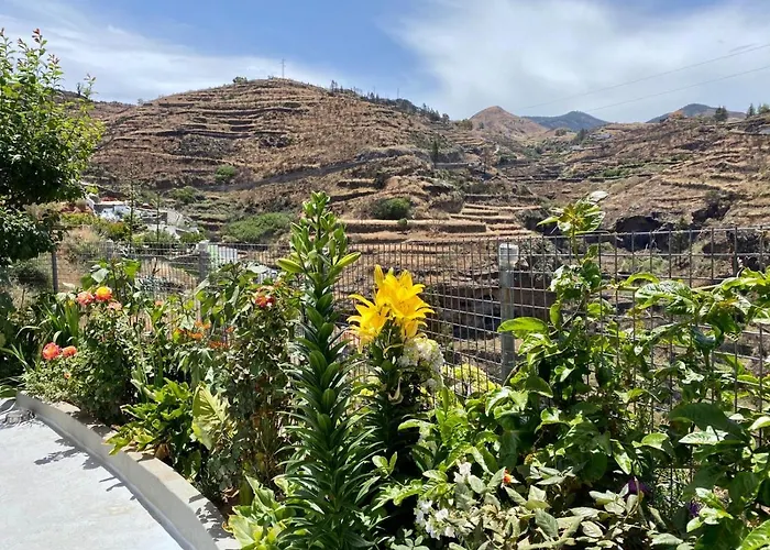 Landsted Juncalillo House Gáldar