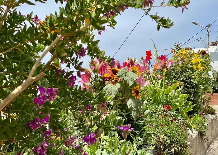 Juncalillo House Landsted *