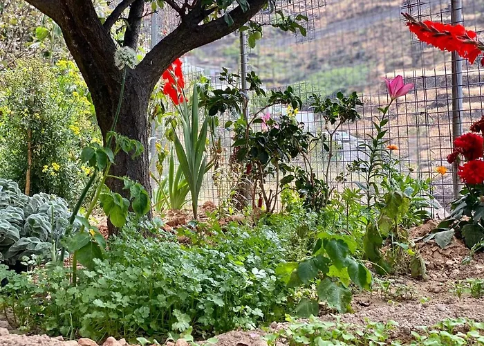 Juncalillo House * Gáldar